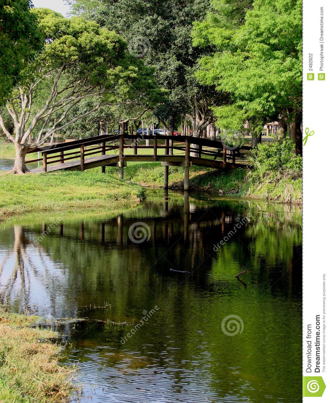 Wooden Bridge Crossing Over Pond Or Stream Trees And Grassy Shore