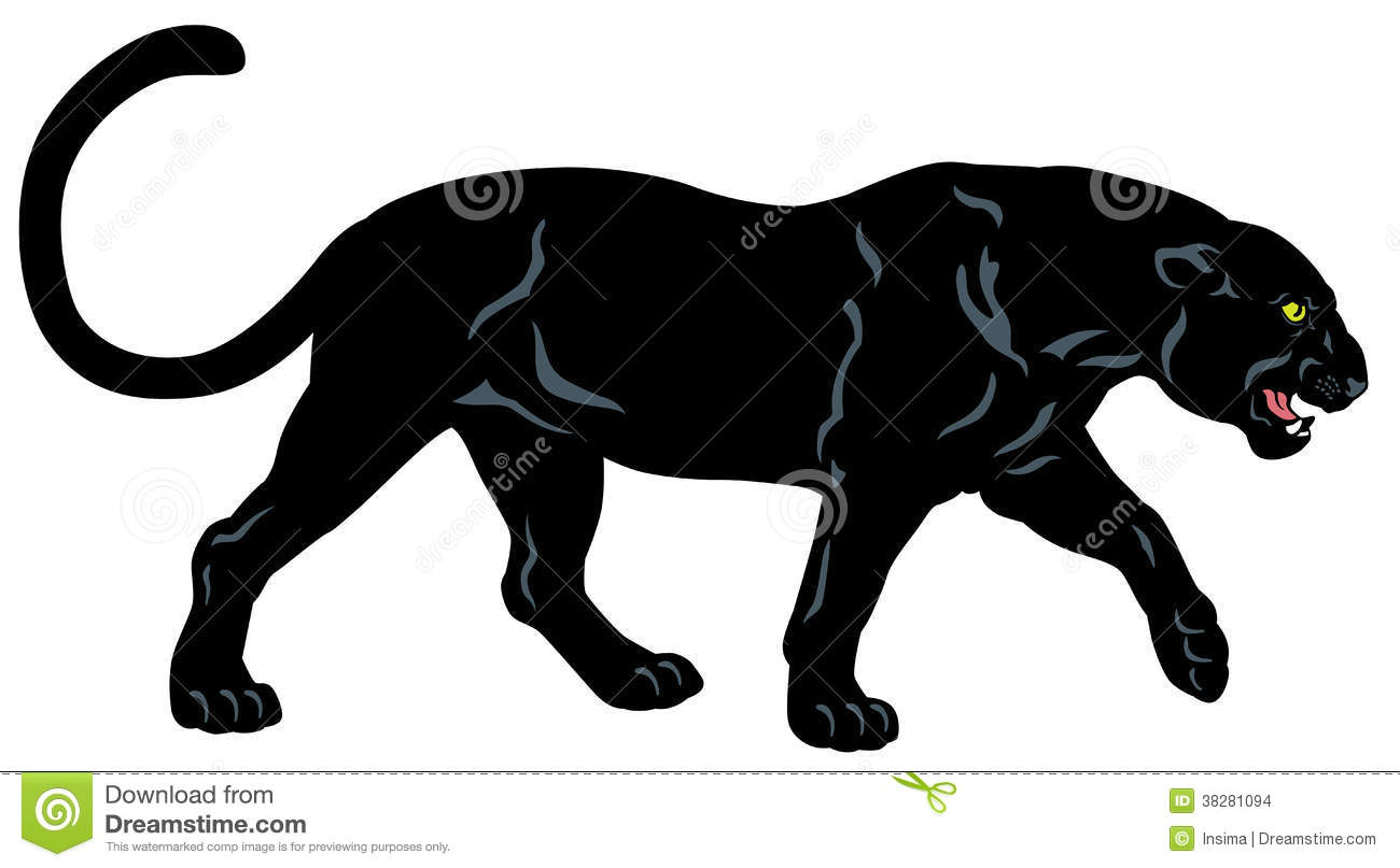 Black Panther Side View Image Isolated On White Background