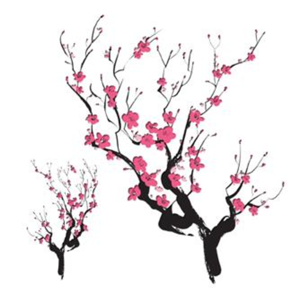 Cherry Blossom Clip Art Border Free   Clipart Best