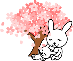 Cherry Blossoms Rabbit Clipart Royalty Free Public