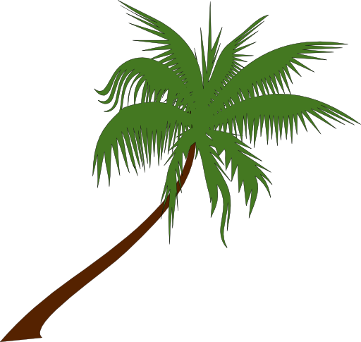 Palm Tree Clip Art Clipart Palm Tree 512x512 799a Png