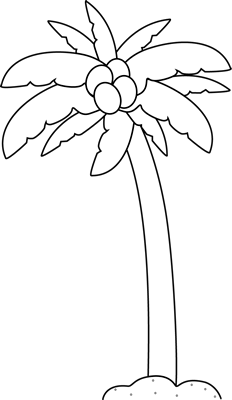 Palm Tree Clip Art Image   Black And White Outline Of A Palm Tree