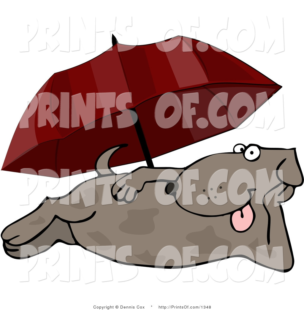 Print Of A Lazy Summertime Dog Laying At The Beach Under An Umbrella