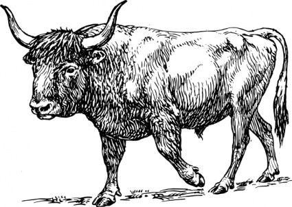 Farm Bull Lineart Horns Animal Mammal Strong Ox Muscular Aurochs