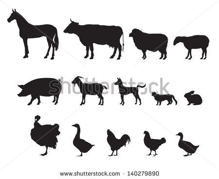 Livestock  Shutterstock Image   Farm Animals Vector Set  Livestock