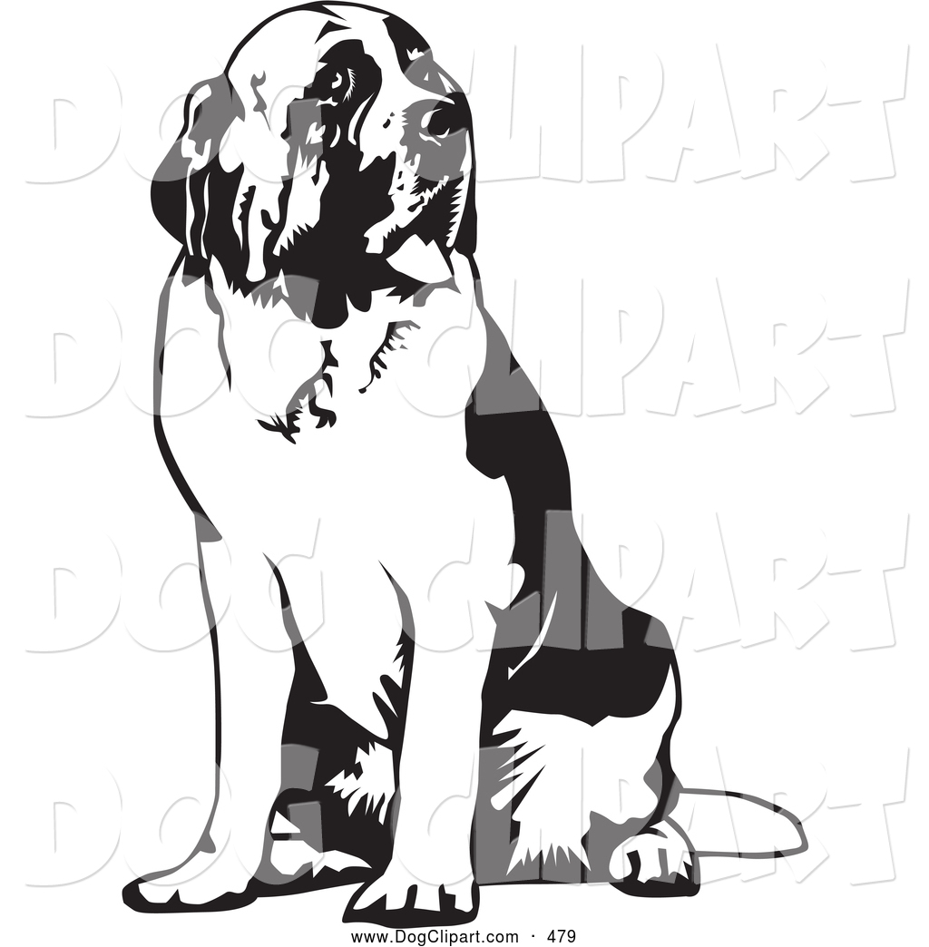 Clip Art Of A Large Saint Bernard Dog Spanting And Sitting Looking