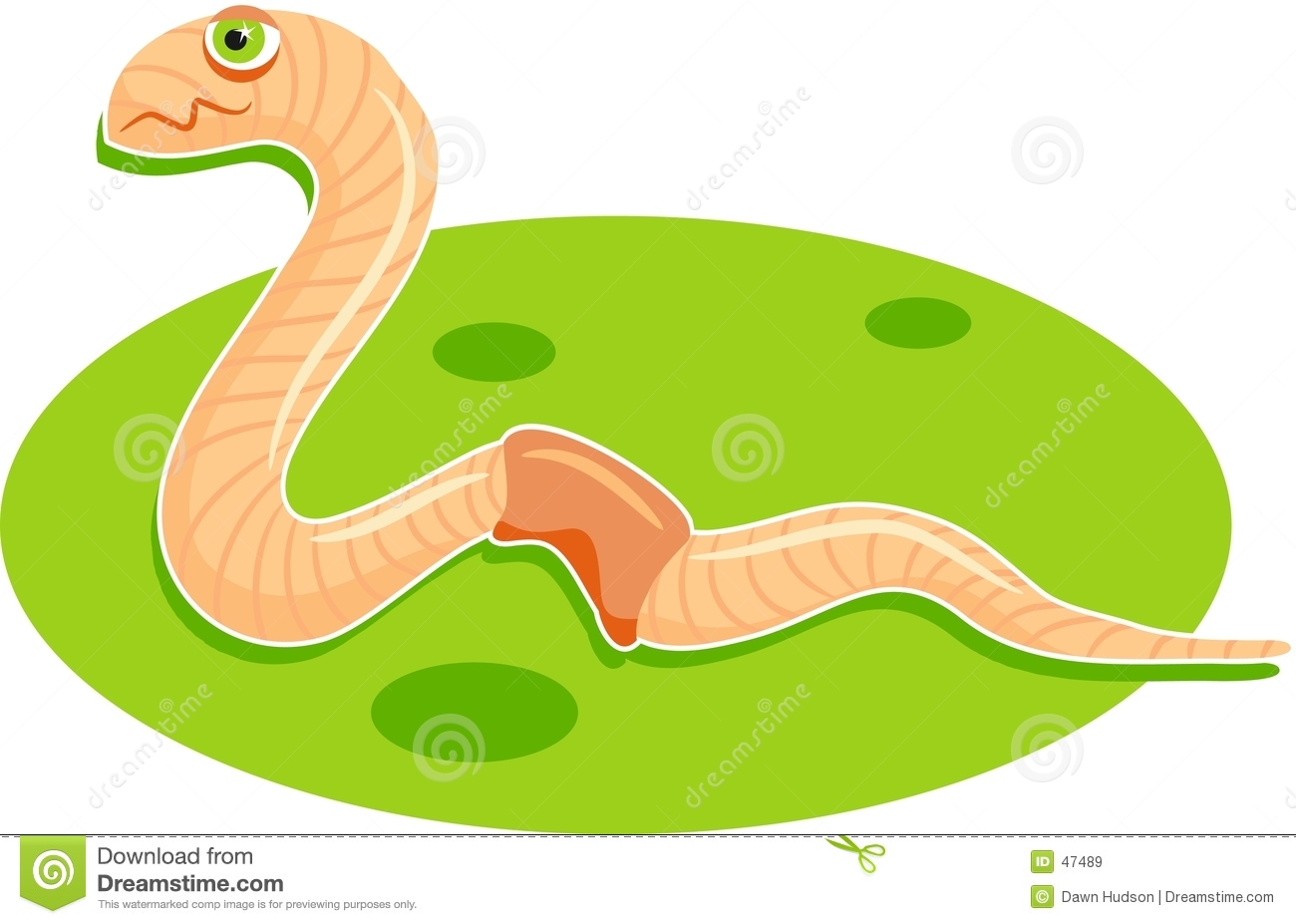 Earthworm Royalty Free Stock Images   Image  47489