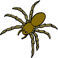 Insect Clipart Spider