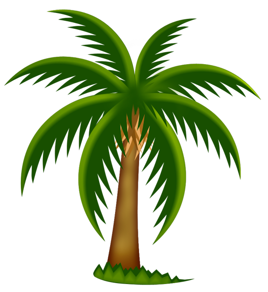 Palm Tree Clipart Ycopykxxi Png