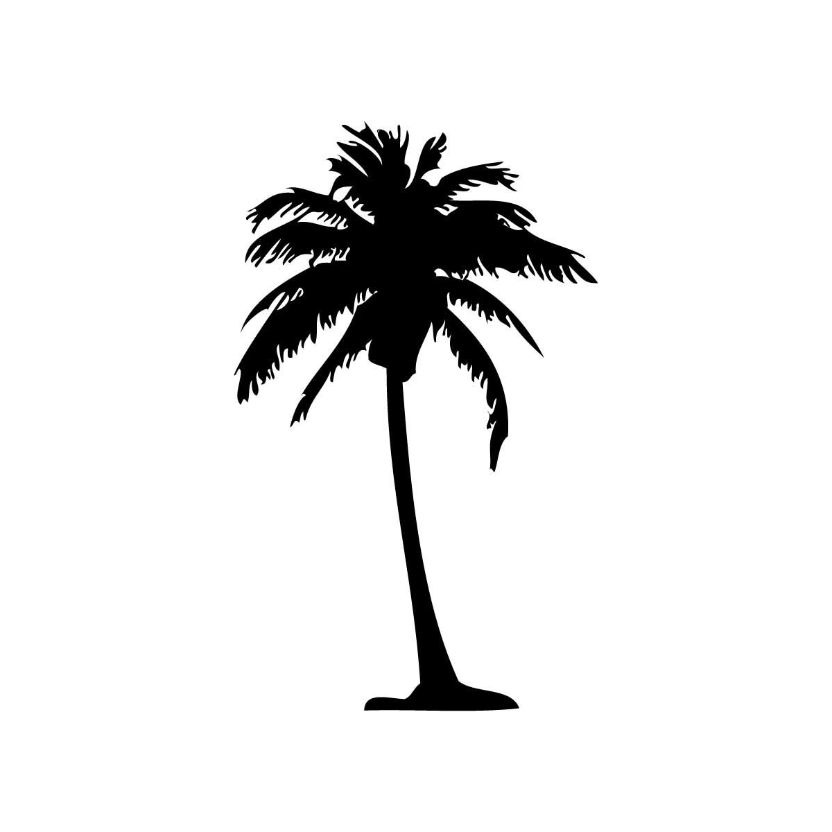 Silhouette Palm Trees Palm