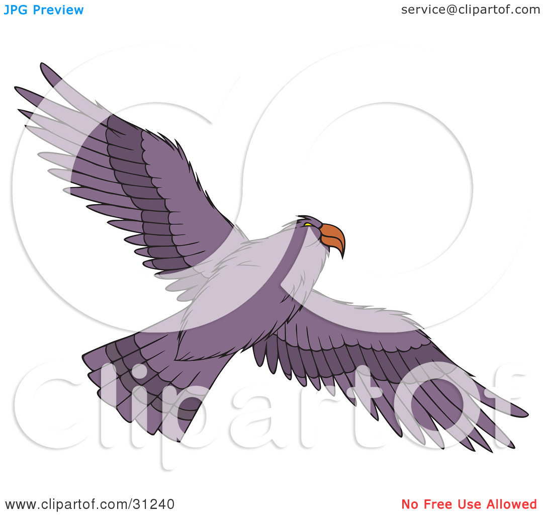 Clipart Illustration Of A Flying Purple Hawk As Seen From Below Its