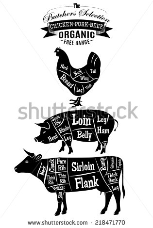 Vector Diagram Cut Carcasses Of Chicken Pig Cow   Stock Photo