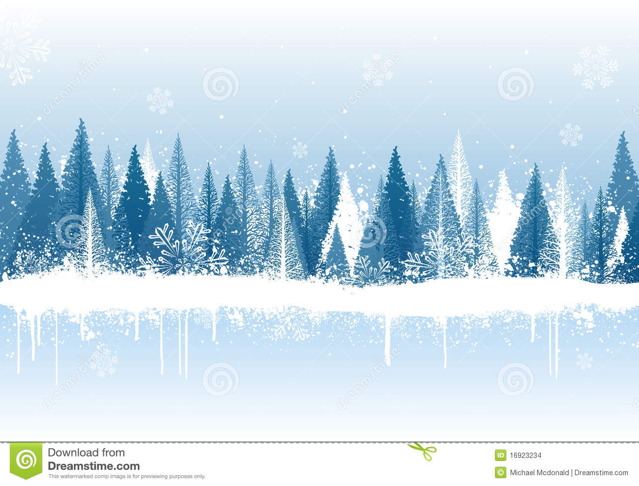 Winter Forest Background Stock Images   Image  16923234