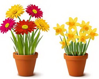 Flowers In Flower Pot Clipart Bright Flowers In Pots Vector
