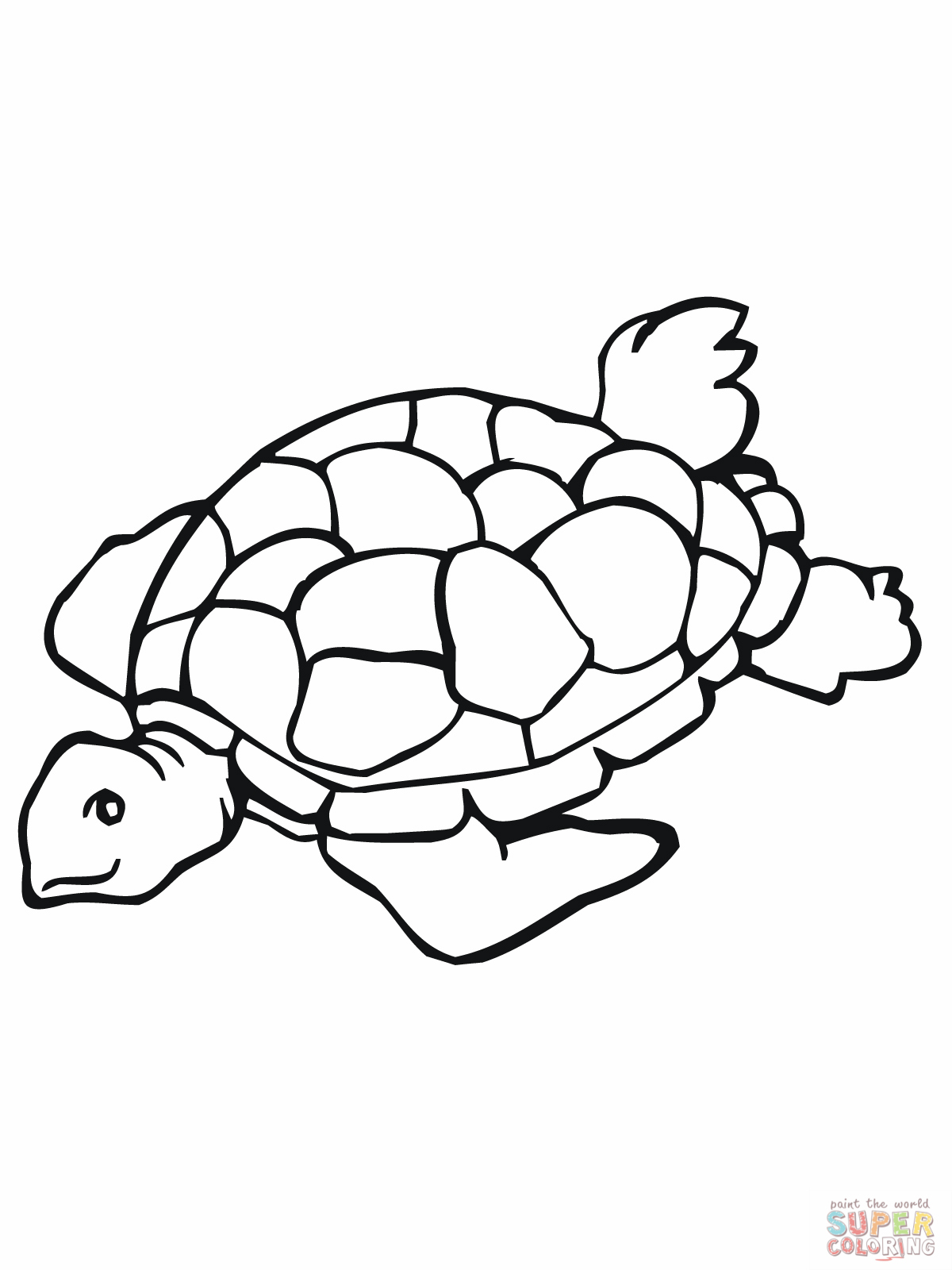 Sea Turtle Clip Art Black And White Sea Turtle Coloring Page Jpg