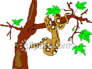 Snake On A Jungle Tree   Royalty Free Clipart Picture