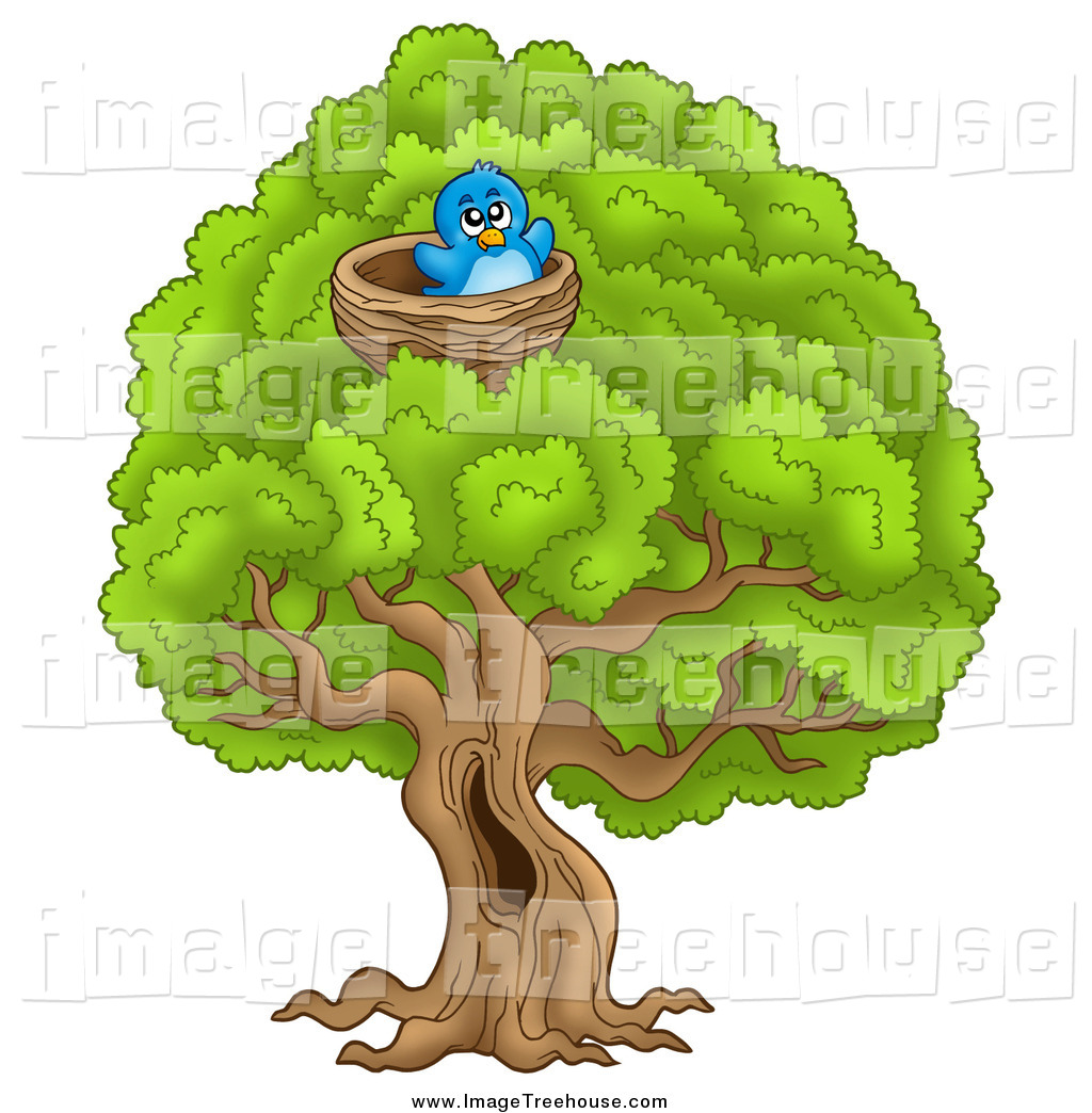 Nest In Tree Clipart This Nest Stock Tree Image