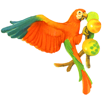 Parrot Clipart Bird Clip Art Parrot Eating Fruits Png