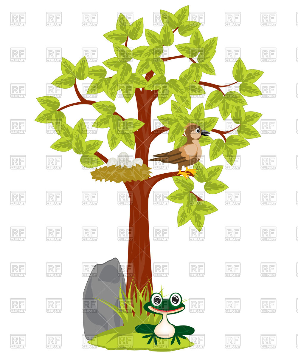 Tree With Nest And Bird Sitting On Him 91916 Download Royalty Free