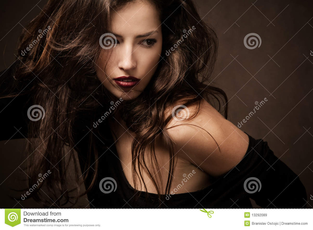 Wild Hair Royalty Free Stock Images   Image  13292089
