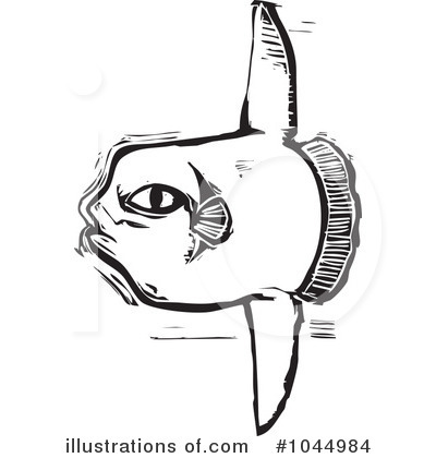 Sunfish Clipart  1044984 By Xunantunich   Royalty Free  Rf  Stock