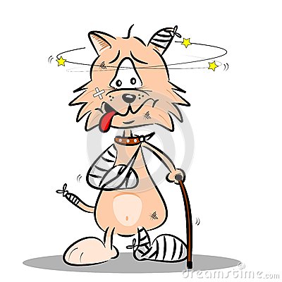 An Injured Cartoon Cat With Bandages Plaster And Walking Stick