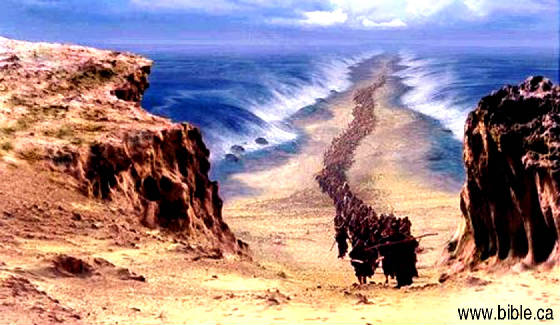 Exodus  Red Sea Crossing    Spectacular Proof   The True Crossing