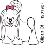 Cute Long Hair Maltese Dog With A Pink Bow Royalty Free Vector Clipart