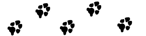 Dog Paw Print Clip Art   Paw Print Graphics For Projects   Dog Paw