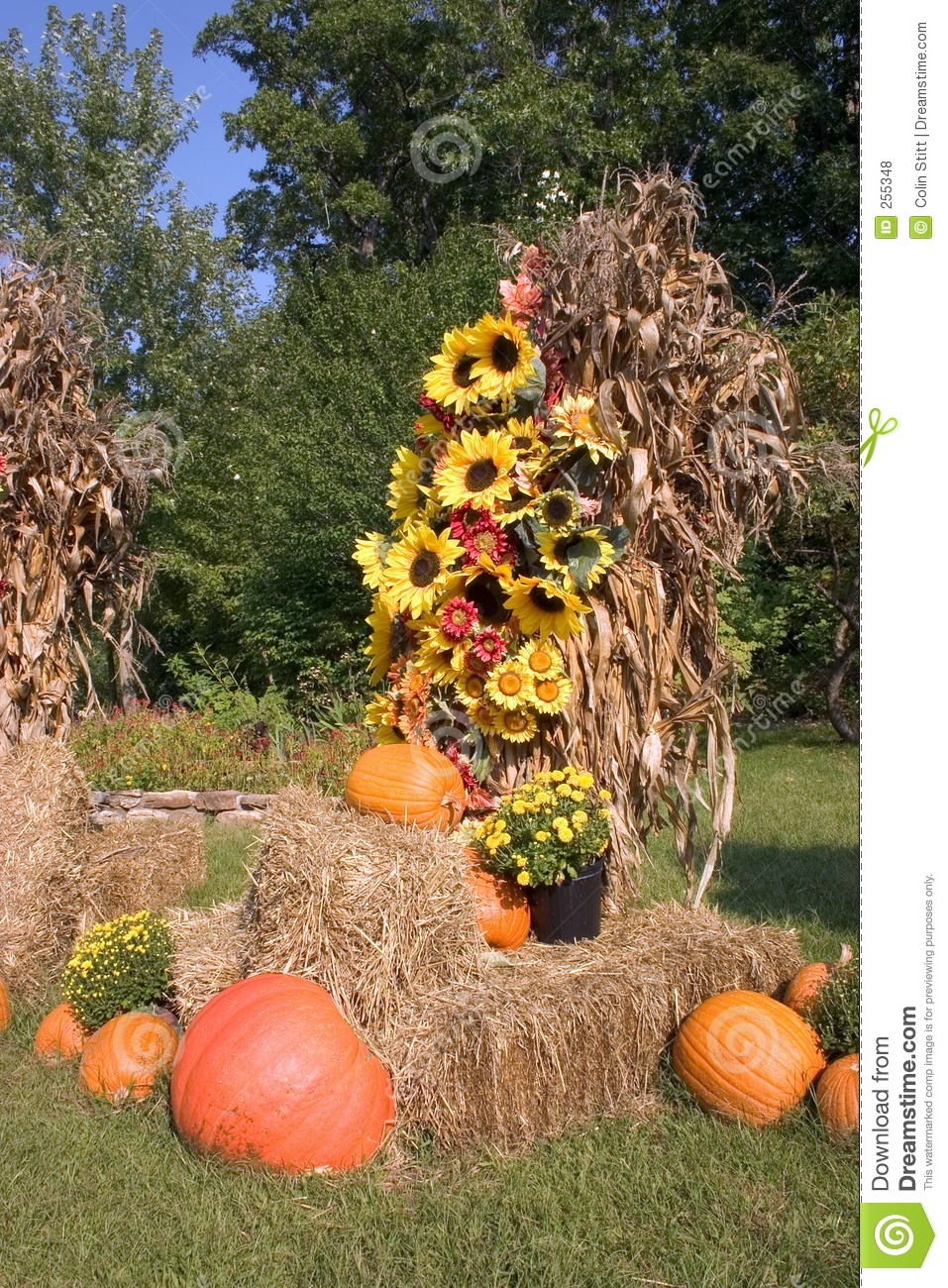 Fall Decorations 2 Royalty Free Stock Photos   Image  255348
