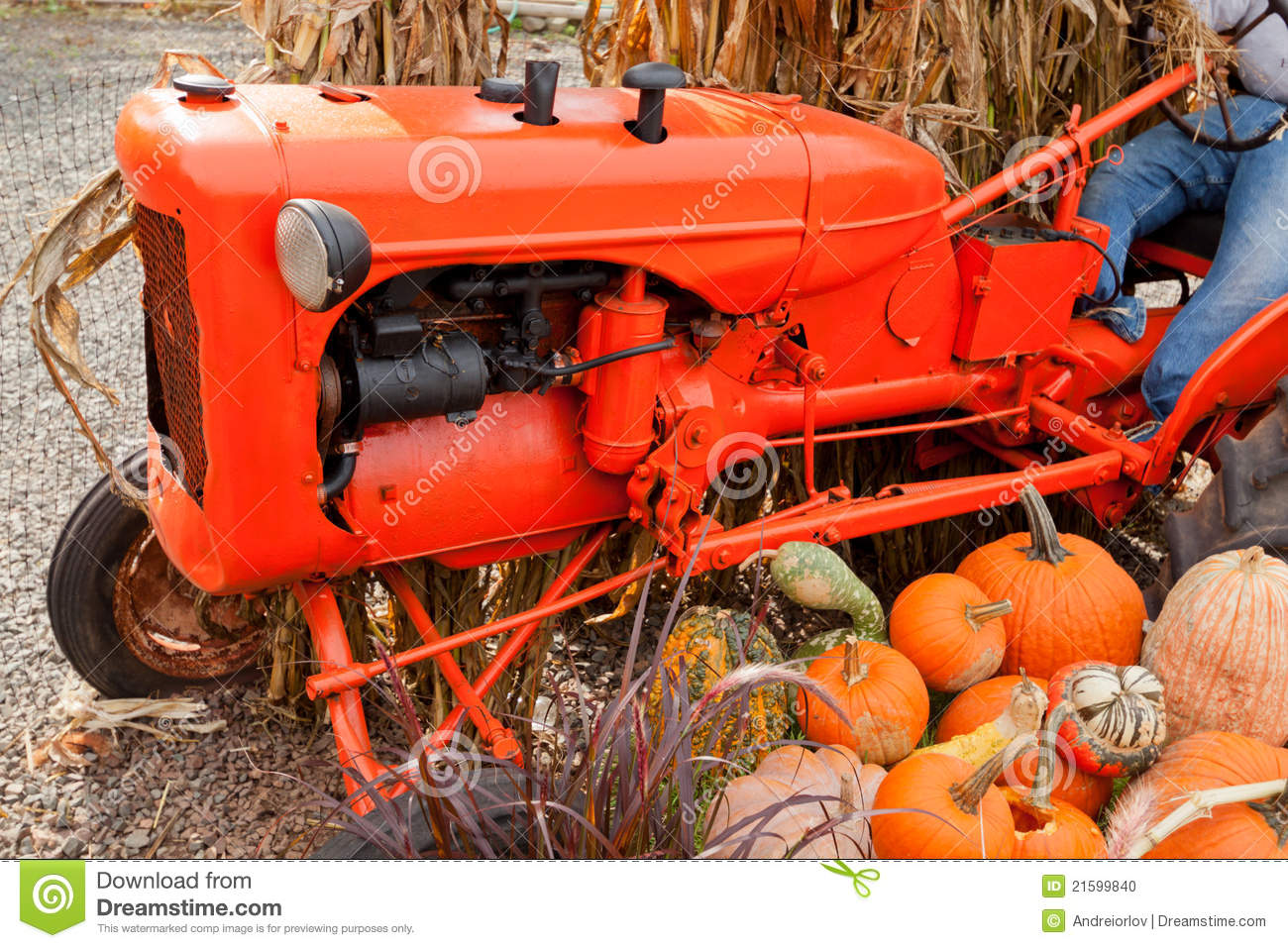 Fall Decorations At The Farm  Stock Photo   Image  21599840
