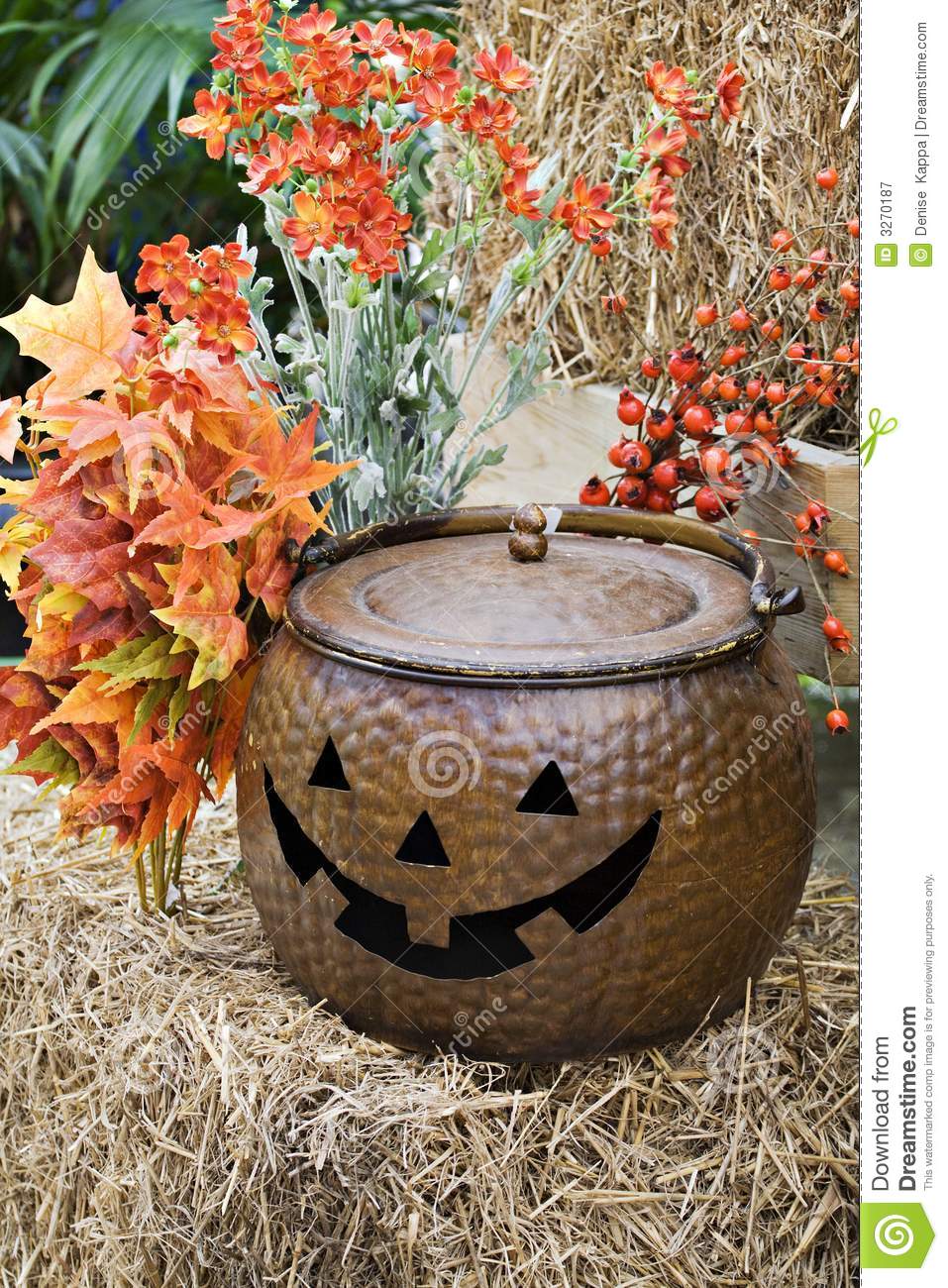Fall Decorations Royalty Free Stock Photography   Image  3270187