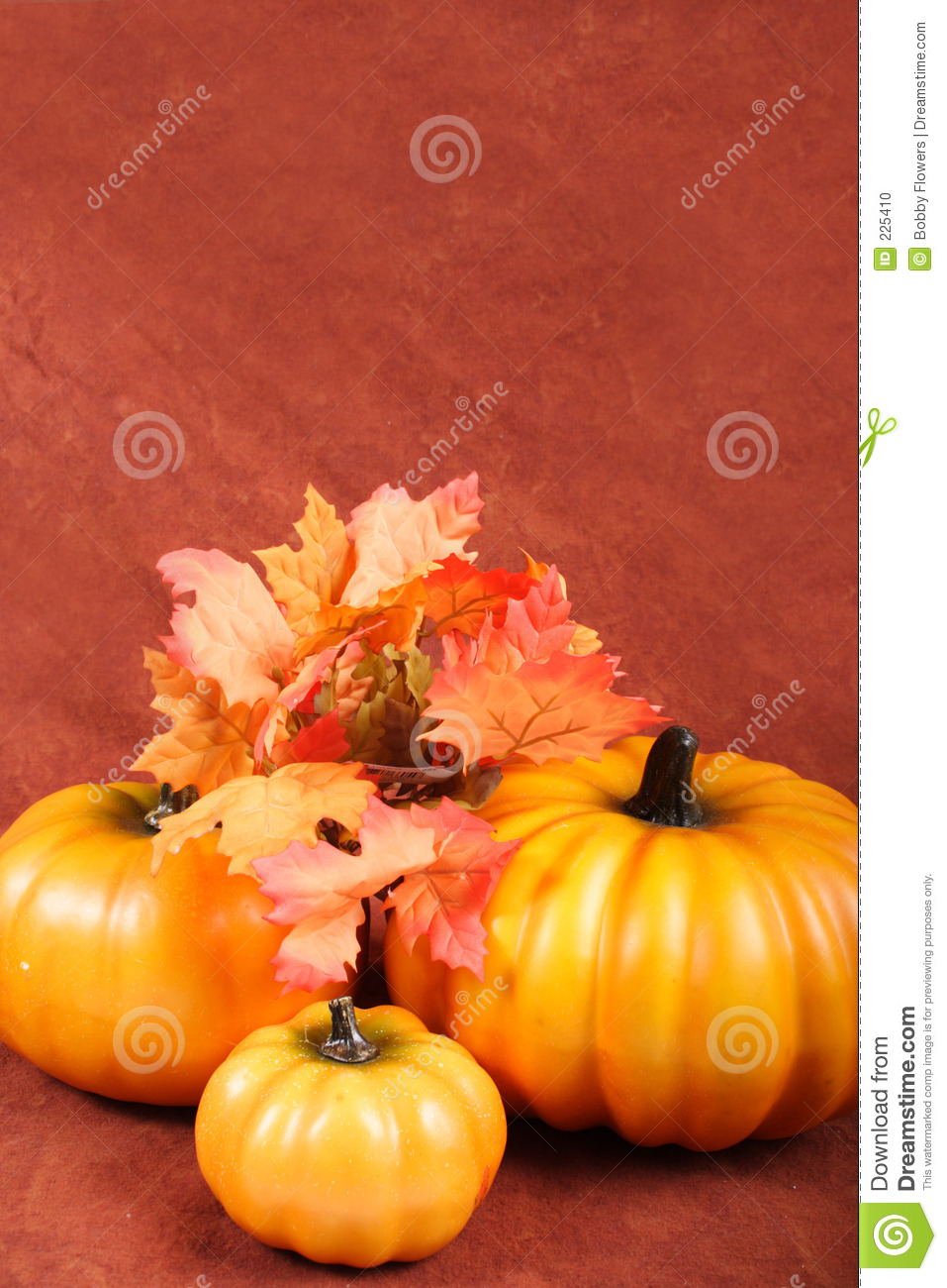 Fall   Thanksgiving Decorations Stock Photo   Image  225410