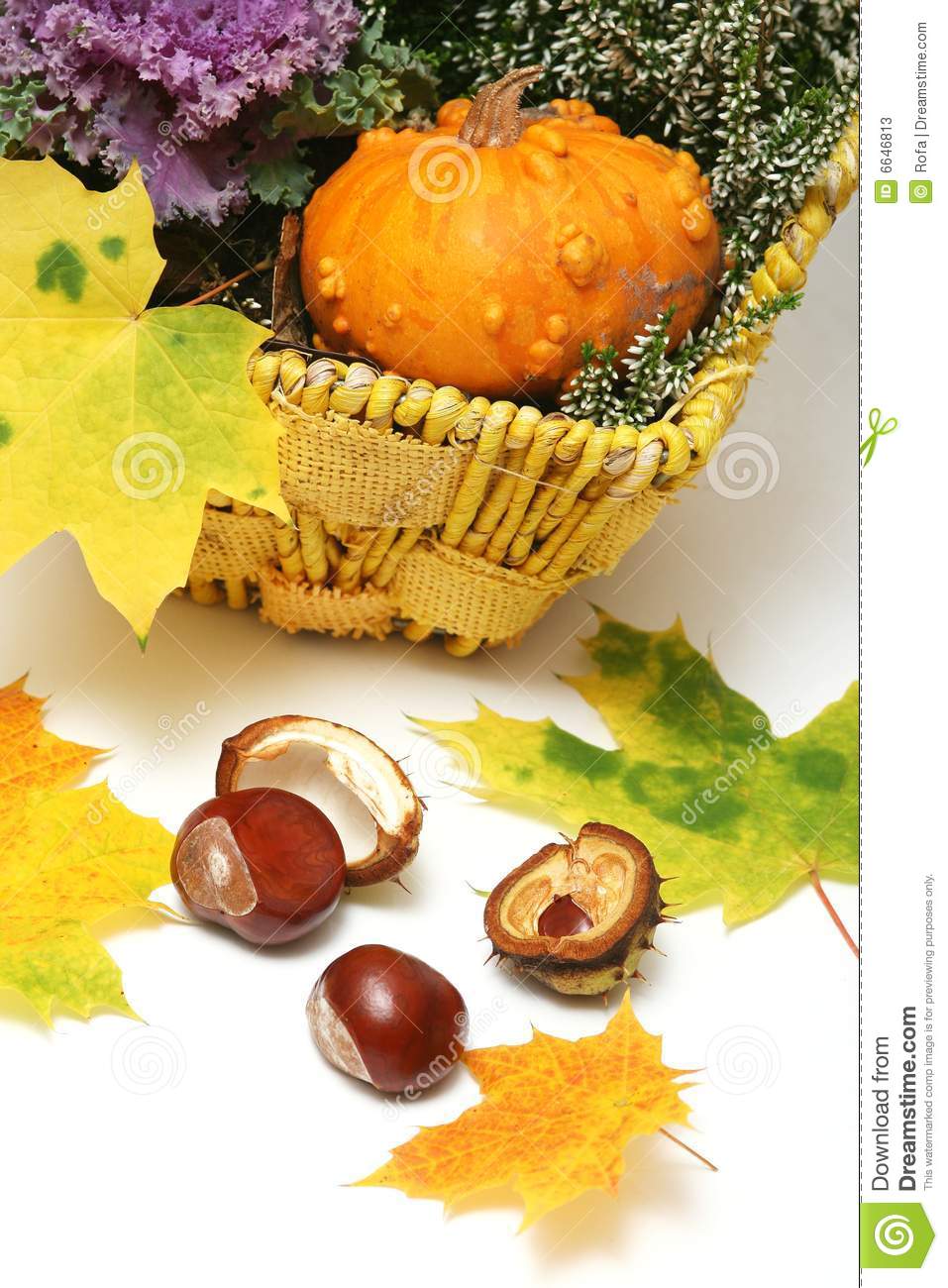 More Similar Stock Images Of   Fall Thanksgiving Decorations  