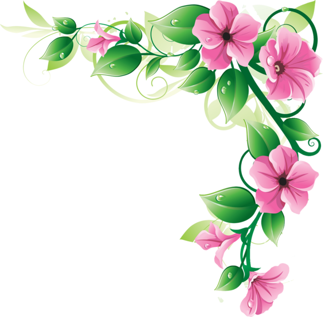 30 Border Flowers Png   Free Cliparts That You Can Download To You