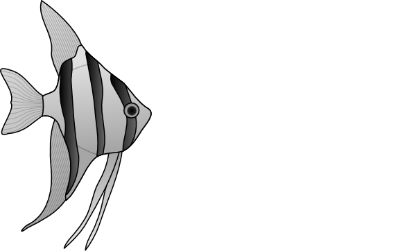 Altum Angelfish Clip Art At Clker Com   Vector Clip Art Online