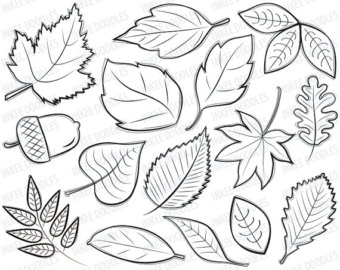 Fall Leaves Border Clip Art Black And White Images   Pictures   Becuo