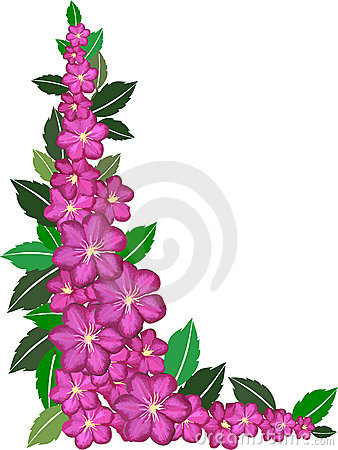 Flower Border Clipart 11110 Flowers Clip Art Border Jpg