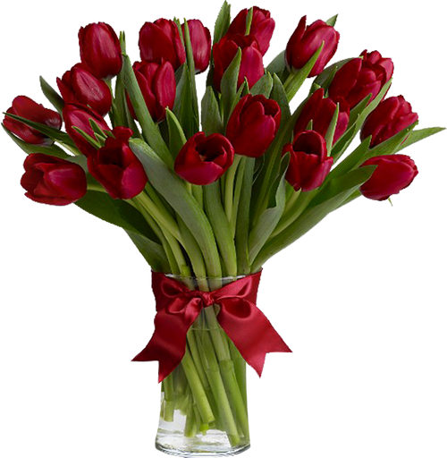 Grass With Red Tulips Png Clipart