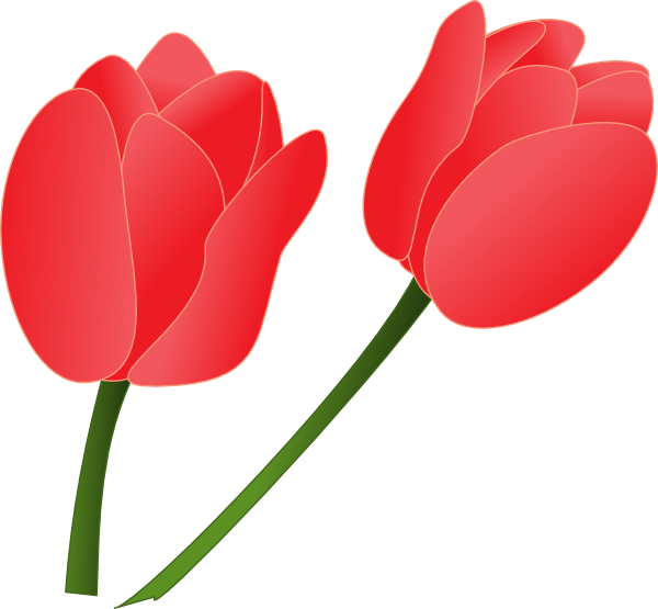 Red Tulip Clip Art At Clker Com Vector Clip Art Online Royalty Free