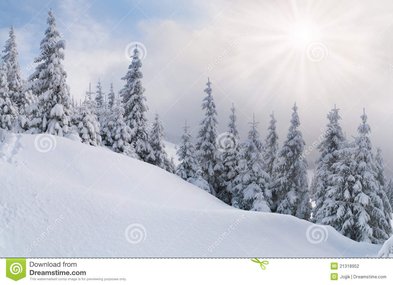Snowstorm Stock Photography   Image  21318952
