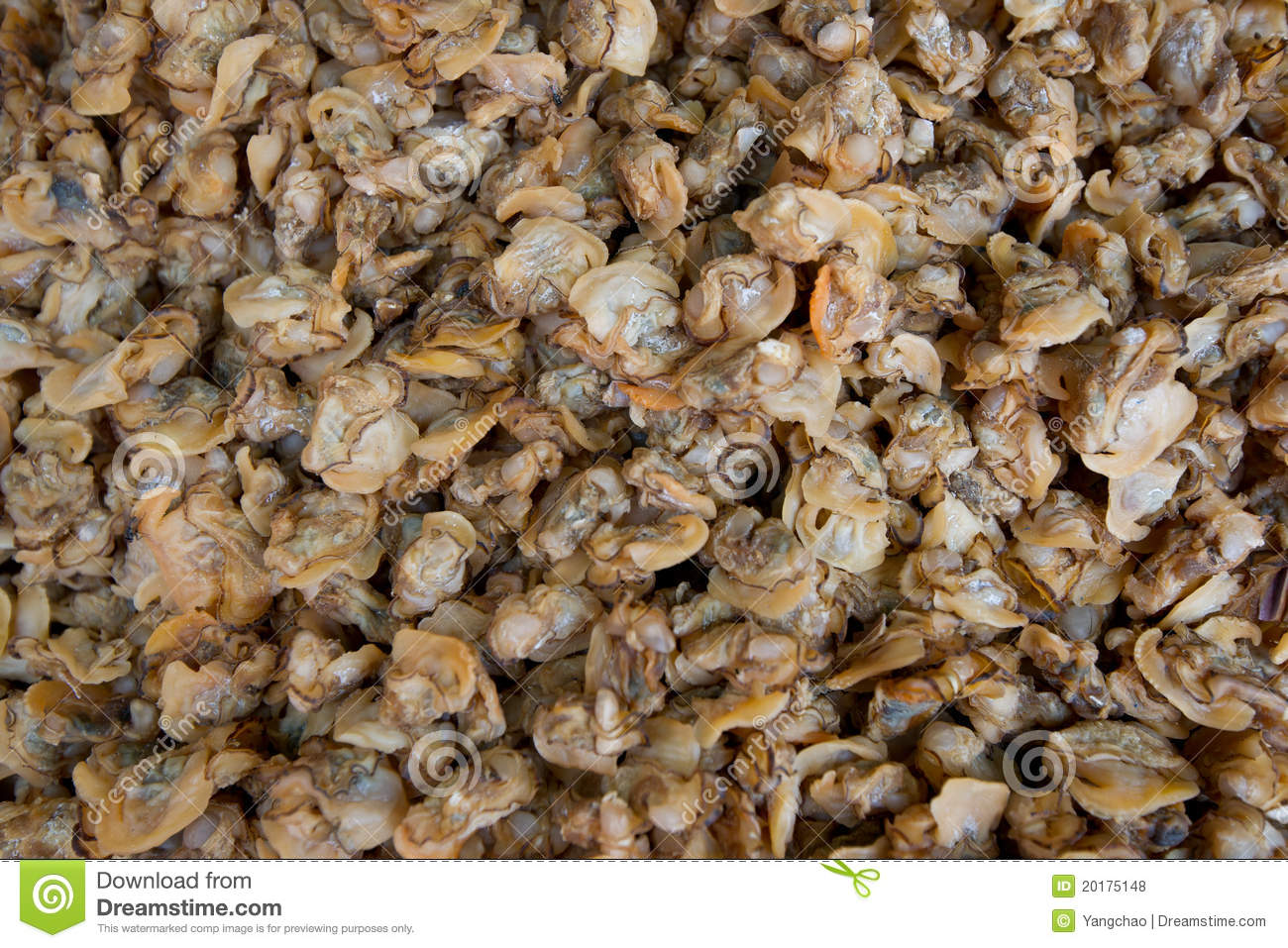 Dried Oyster Meat Royalty Free Stock Photos   Image  20175148
