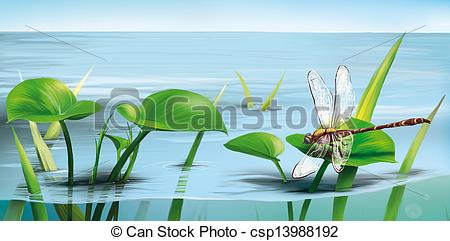 Stock Illustration   River Scene  Dragonfly On Water Grass Lake Water