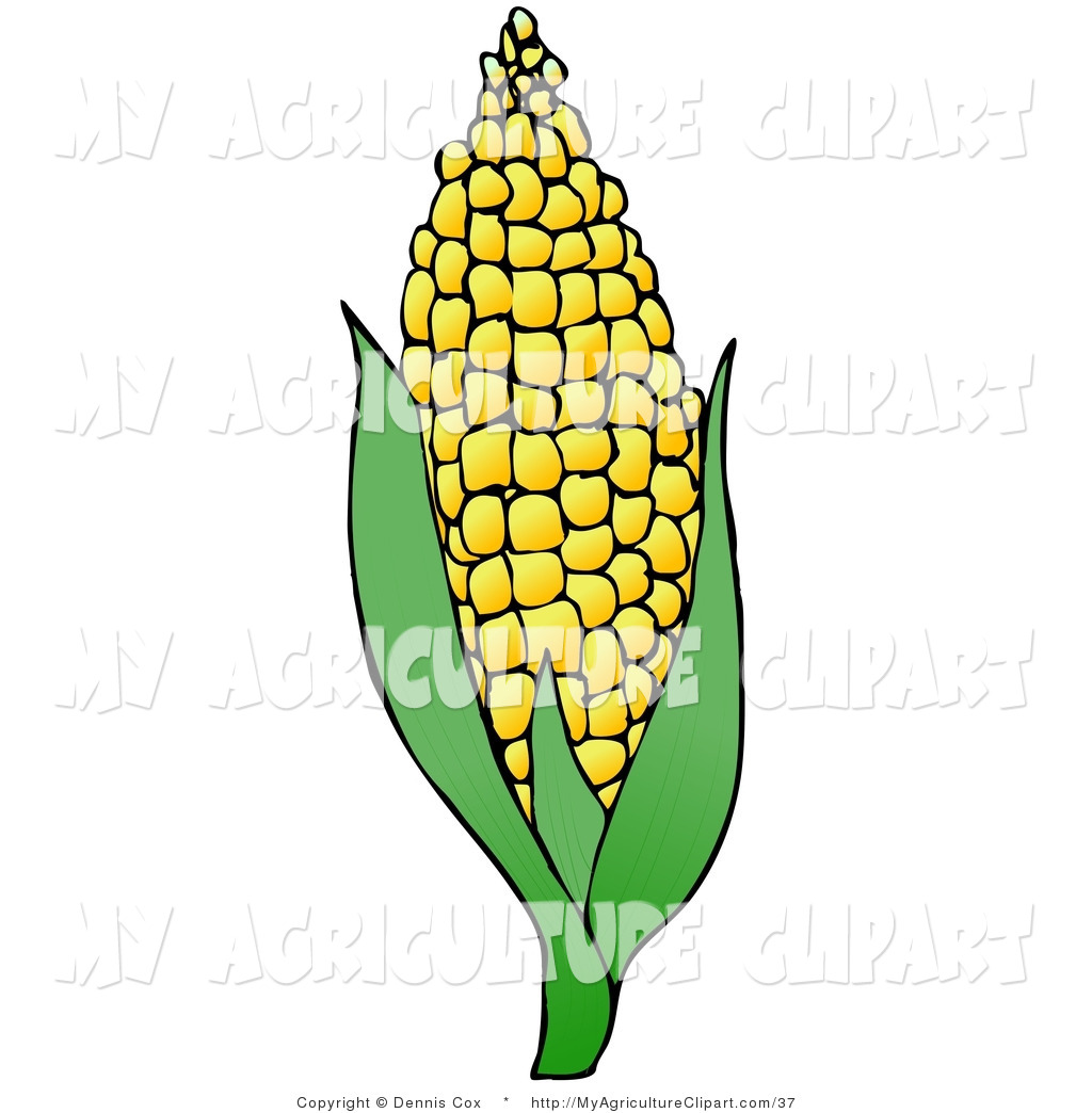 Agriculture Clipart Of A Sweet Yellow Ear Of Corn On The Cob By Dennis