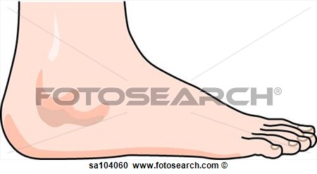 Right Leg  Ankle And Foot    Fotosearch   Search Clipart Illustration