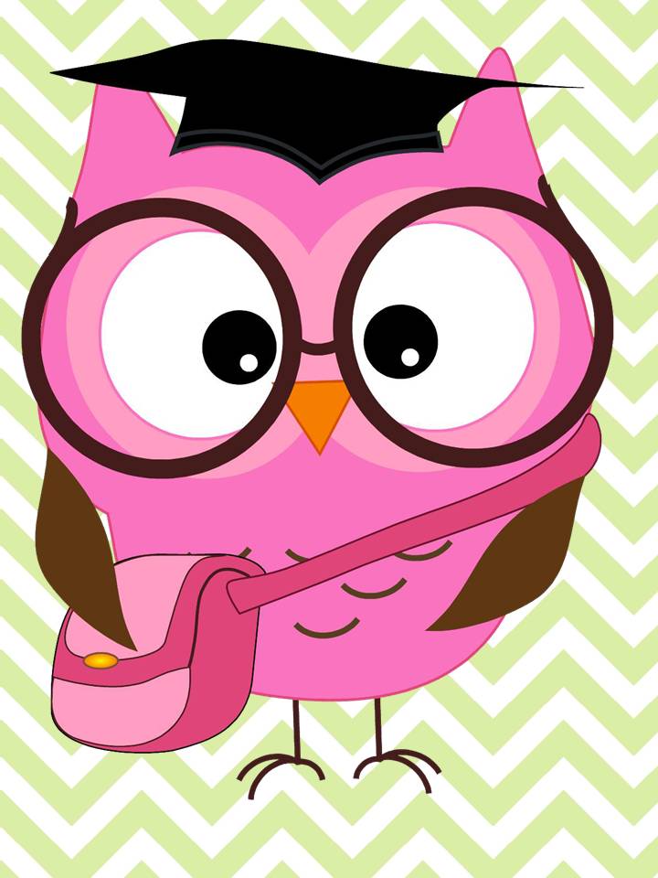 Cute Purple Owl Pink And Purple Owl Pair