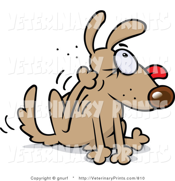 Art Print Of A Cartoon Flea Infested Brown Dog Going Crazy While