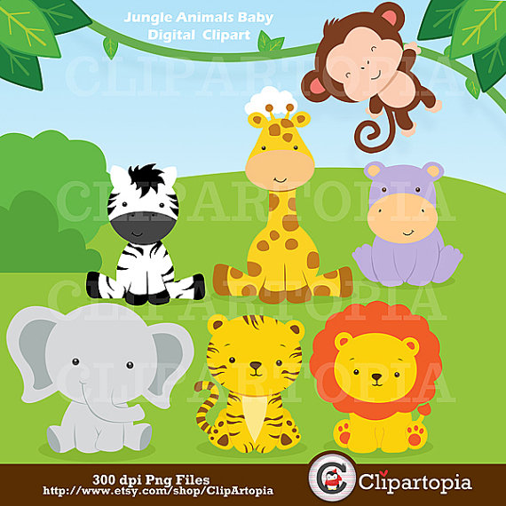 Jungle Animals Baby Digital Clipart   Safari Animals Clip Art   Zoo