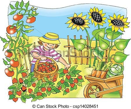Vegetable Garden Clip Art   Google Search  Farmers Boys Vegetables