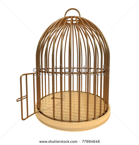 Bird Cages Shutterstock Eps Vector Id 110502425 Clipart   Free Clip    